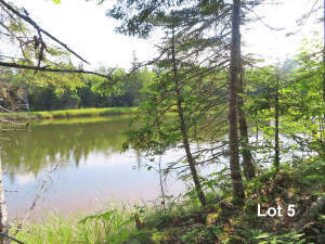 Cape Breton - Cleveland - Großzügiges Ufer-Grundst - 