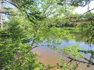 Cape Breton - Cleveland - Großzügiges Ufer-Grundst - 