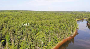 Cape Breton - Cleveland - Großzügiges Ufer-Grundst - 