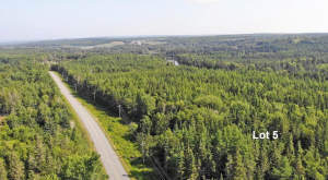 Cape Breton - Cleveland - Großzügiges Ufer-Grundst - 