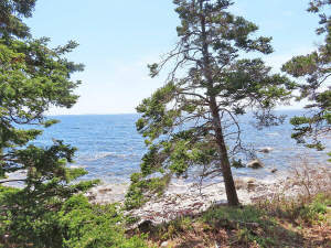 Nova Scotia - Grover´s Point - Traumhaft schönes A - 