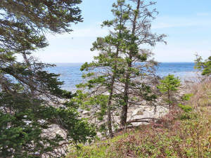 Nova Scotia - Grover´s Point - Traumhaft schönes A - 
