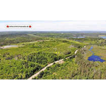 Cape Breton - Soldiers Cove - Lot 3 - 32.000 m² großes Grundstück nahe St. Peters und Bras d`Or Lake