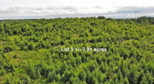 Cape Breton - Soldiers Cove - 32.000 m² großes Bau - 