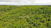Cape Breton - Soldiers Cove - 32.000 m² großes Bau - 