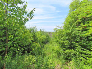 Cape Breton - Soldiers Cove - 32.000 m² großes Bau - 