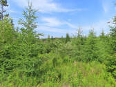 Cape Breton - Soldiers Cove - 32.000 m² großes Bau - 