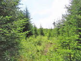 Cape Breton - Soldiers Cove - 32.000 m² großes Bau - 