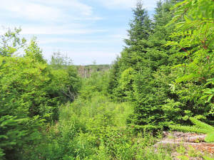 Cape Breton - Soldiers Cove - 32.000 m² großes Bau - 
