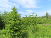 Cape Breton - Soldiers Cove - 32.000 m² großes Bau - 
