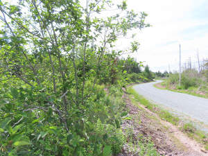 Cape Breton - Soldiers Cove - 32.000 m² großes Bau - 