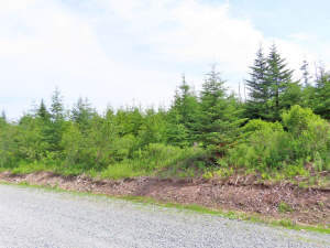 Cape Breton - Soldiers Cove - 32.000 m² großes Bau - 