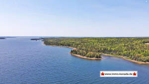 Cape Breton - Großzügige Atlantik-Grundstücke in t - Grundstück zum Kaufen in Louisdale