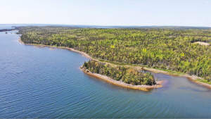 Cape Breton - Großzügige Atlantik-Grundstücke in t - Grundstück in Louisdale zum Kaufen
