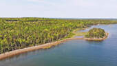 Cape Breton - Großzügige Atlantik-Grundstücke in t - Grundstück in Louisdale