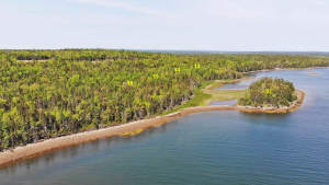 Cape Breton - Großzügige Atlantik-Grundstücke in t - Grundstück in Louisdale