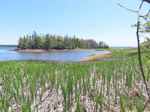 Cape Breton - Großzügige Atlantik-Grundstücke in t - 