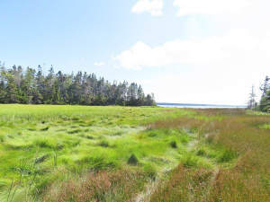 Cape Breton - Großzügige Atlantik-Grundstücke in t - 