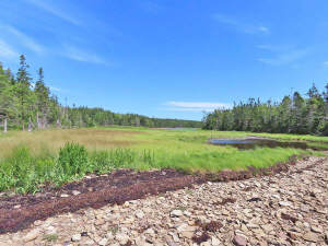 Cape Breton - Großzügige Atlantik-Grundstücke in t - 