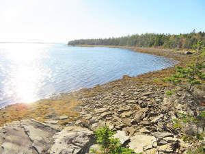 Cape Breton - Großzügige Atlantik-Grundstücke in t - 