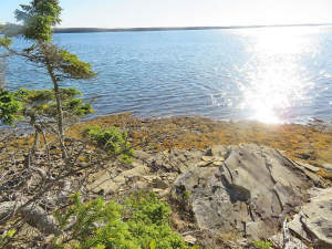 Cape Breton - Großzügige Atlantik-Grundstücke in t - 