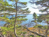 Cape Breton - Großzügige Atlantik-Grundstücke in t - 