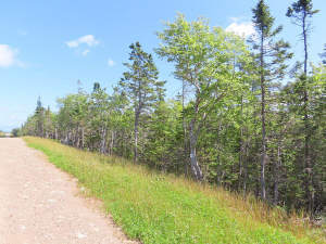 Cape Breton - Großzügige Atlantik-Grundstücke in t - 