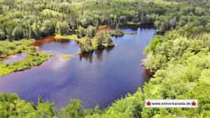 Cape Breton - 81 Hektar großes Selbstversorger-Are - Grundstück zum Kaufen in Malagawatch