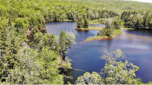 Cape Breton - 81 Hektar großes Selbstversorger-Are - Grundstück in Malagawatch