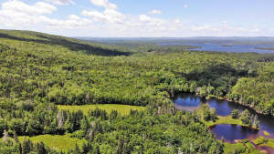 Cape Breton - 81 Hektar großes Selbstversorger-Are - Grundstück in Malagawatch zum Kaufen