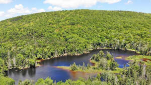 Cape Breton - 81 Hektar großes Selbstversorger-Are - 