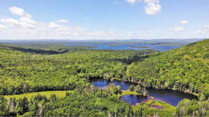 Cape Breton - 81 Hektar großes Selbstversorger-Are - 