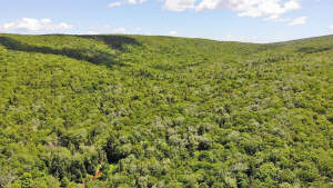 Cape Breton - 81 Hektar großes Selbstversorger-Are - 