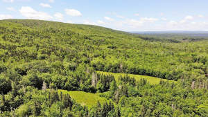Cape Breton - 81 Hektar großes Selbstversorger-Are - 