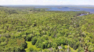 Cape Breton - 81 Hektar großes Selbstversorger-Are - 