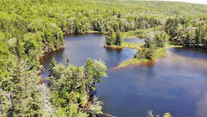 Cape Breton - 81 Hektar großes Selbstversorger-Are - 