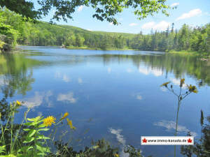 Cape Breton - 81 Hektar großes Selbstversorger-Are - 