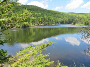 Cape Breton - 81 Hektar großes Selbstversorger-Are - 