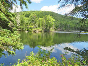 Cape Breton - 81 Hektar großes Selbstversorger-Are - 