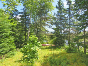 Cape Breton - 81 Hektar großes Selbstversorger-Are - 