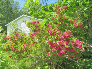 Cape Breton - 81 Hektar großes Selbstversorger-Are - 