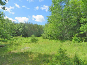 Cape Breton - 81 Hektar großes Selbstversorger-Are - 