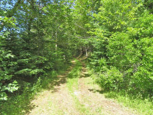 Cape Breton - 81 Hektar großes Selbstversorger-Are - 