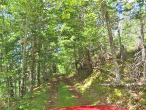 Cape Breton - 81 Hektar großes Selbstversorger-Are - 