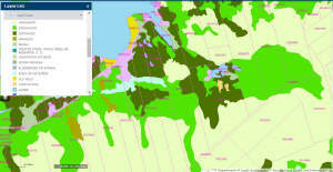 Cape Breton - 81 Hektar großes Selbstversorger-Are - 