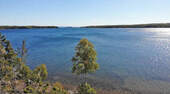 Cape Breton - Bras d`Or Lake - Tolles See-Ufergrun - 
