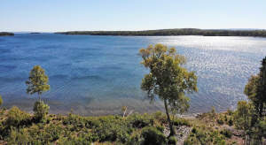Cape Breton - Bras d`Or Lake - Tolles See-Ufergrun - 