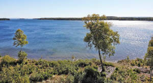 Cape Breton - Bras d`Or Lake - Tolles See-Ufergrun - 