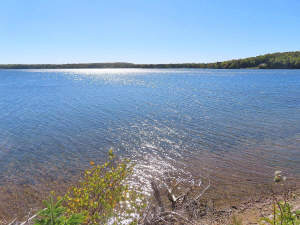 Cape Breton - Bras d`Or Lake - Tolles See-Ufergrun - 