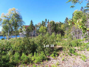 Cape Breton - Bras d`Or Lake - Tolles See-Ufergrun - 